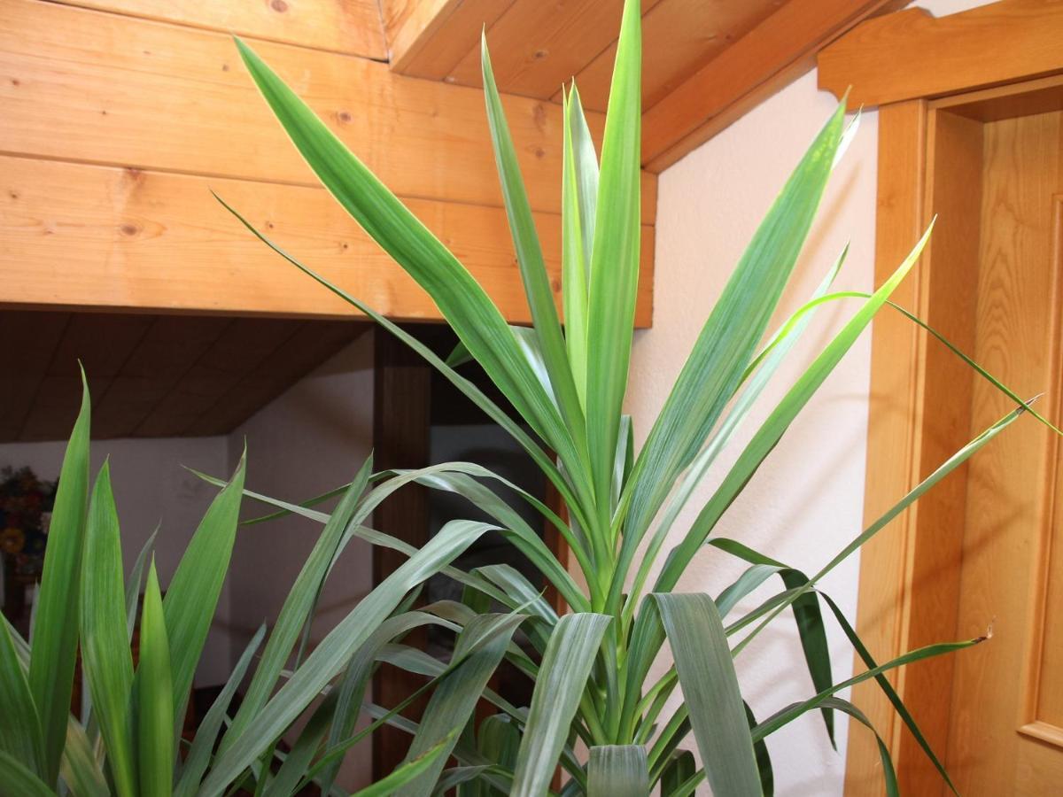Rottonara Aparthotel Corvara In Badia